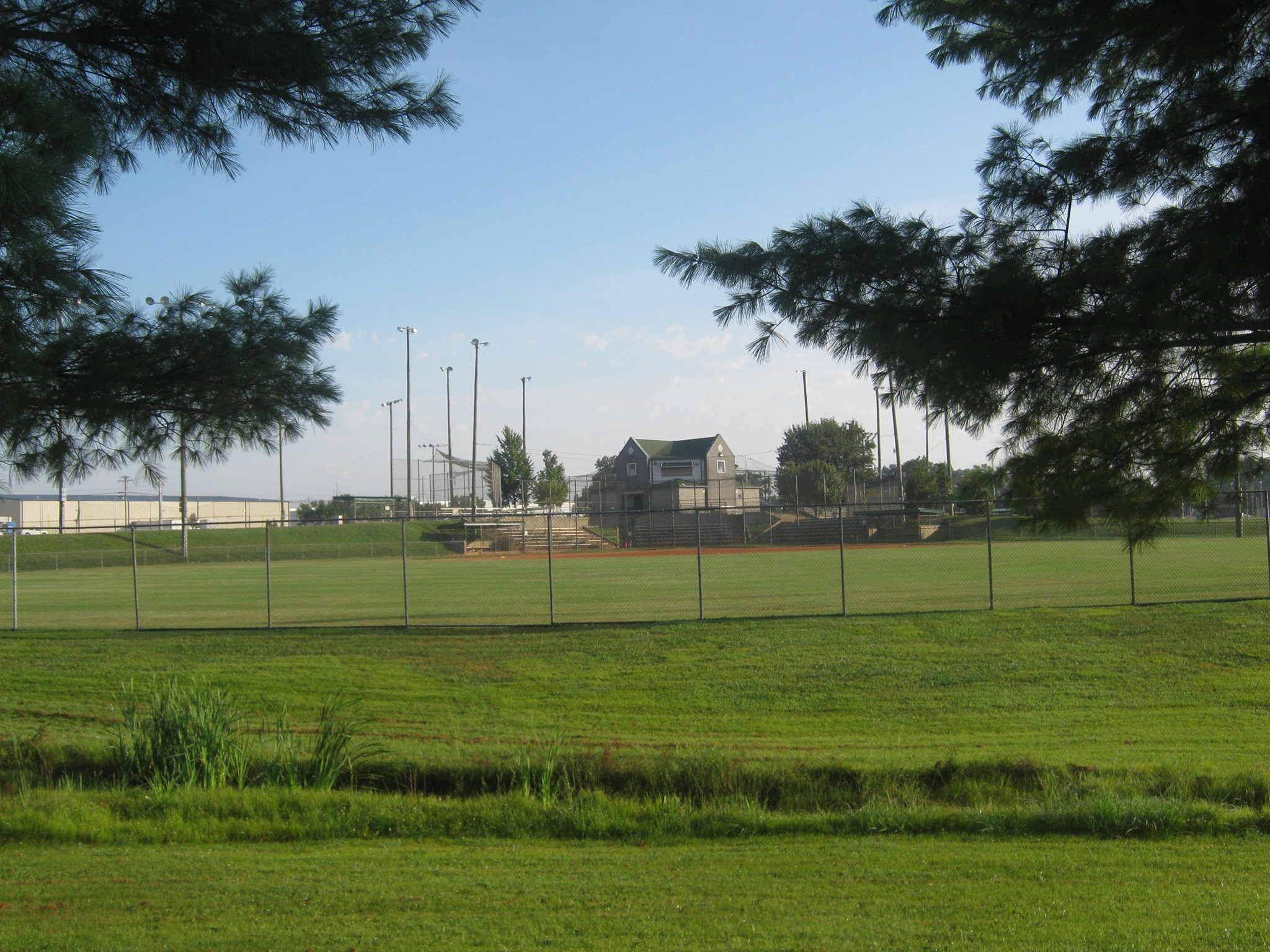 Adult Softball